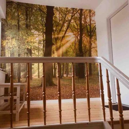 Fewo Waldblick Meschede Extérieur photo